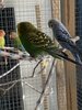 IMG_0286.jpeg