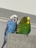 IMG_0280.jpeg