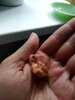 IMG_20240614_135704.jpg