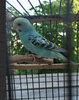 IMG_1152.jpeg