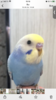 IMG_3312.png