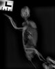 DX006169_2.jpg