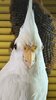 IMG_5664.jpeg
