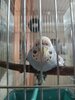 IMG20240629184246.jpg
