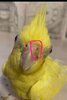 IMG_7488.jpeg