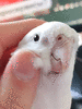 PXL_20240706_153722388_exported_stabilized_1720491157744.gif