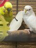 IMG_4164.jpeg