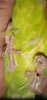 Screenshot_20240725-010600.jpg