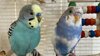 IMG_8972.jpeg