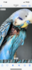 02D2EF4C-DAAC-4223-BB09-A05112929C91.png