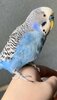 6C286CF5-6F80-452E-984D-77360A3FDB36.jpeg