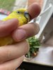 IMG_3796.jpeg