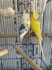 IMG_3802.jpeg