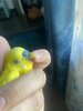 IMG_3945.jpeg