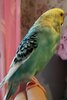IMG_20240915_104929~3.jpg