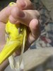 IMG_4153.jpeg