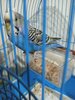 IMG_20241028_175708_293.jpg