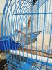 IMG_20241030_001104_069.jpg