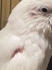 IMG_5193.jpeg