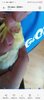 Screenshot_20240922-172928.jpg