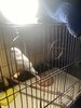 IMG_5203.jpeg