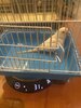 IMG_5399.jpeg