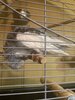 IMG_5400.jpeg