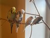 IMG_5417.jpeg