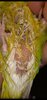 Screenshot_20241213-224440.jpg