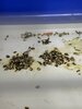 IMG_6782.jpeg