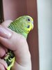 IMG_20241122_092630.jpg