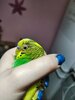 IMG_20250109_073337.jpg