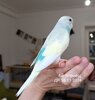 IMG_20250105_184350.jpg