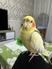 IMG_5747.jpeg