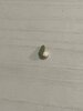 IMG_7373.jpeg