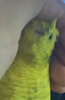 IMG_6545.jpeg