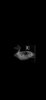 Screenshot_20250128_072117_Gallery.jpg