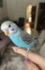 IMG_8358.jpeg