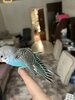 IMG_8364.jpeg