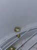 IMG_7286.jpeg