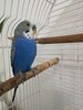 IMG_20250321_065707.jpg