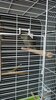 IMG-20250323-WA0000.jpeg