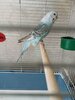 IMG_20250427_151910.jpg