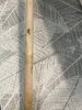 IMG_7741.jpeg