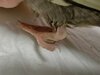 IMG_20250520_205407_568.jpg