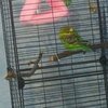 IMG_20250510_201203.jpg