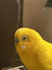 IMG_6580.jpeg