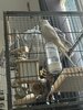 IMG_9733.jpeg