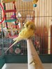 IMG_20250615_171612.jpg