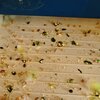 IMG_20250624_202504.jpg